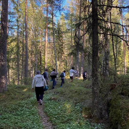 خيمة فخمة Hammock Forest - Hagabrekka Wanderland *