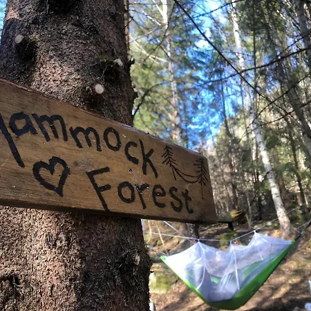 Hammock Forest - Hagabrekka Wanderland *